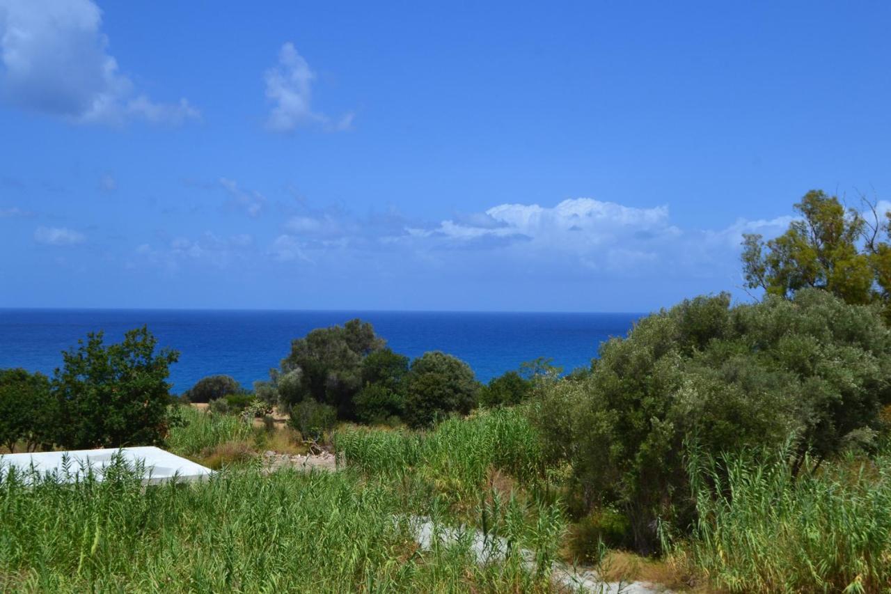 Campus Dei - Tropea Rooms 外观 照片
