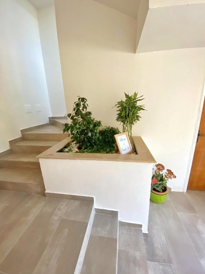 Campus Dei - Tropea Rooms 外观 照片